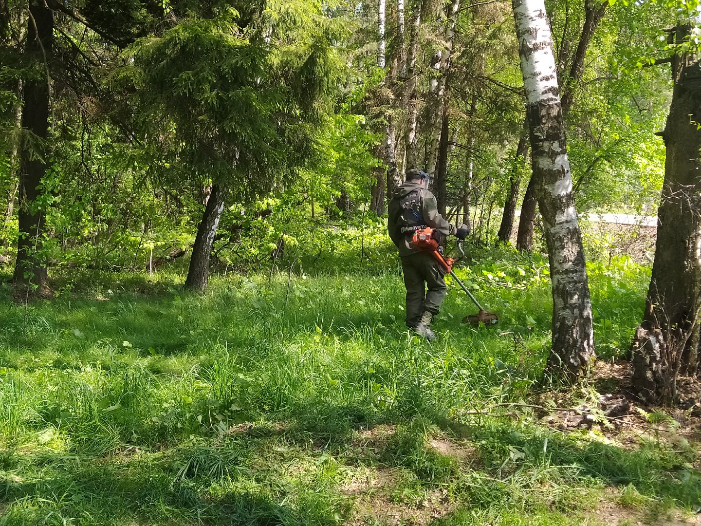 Покос травы, лесопарковая зона, газон, благоустройство