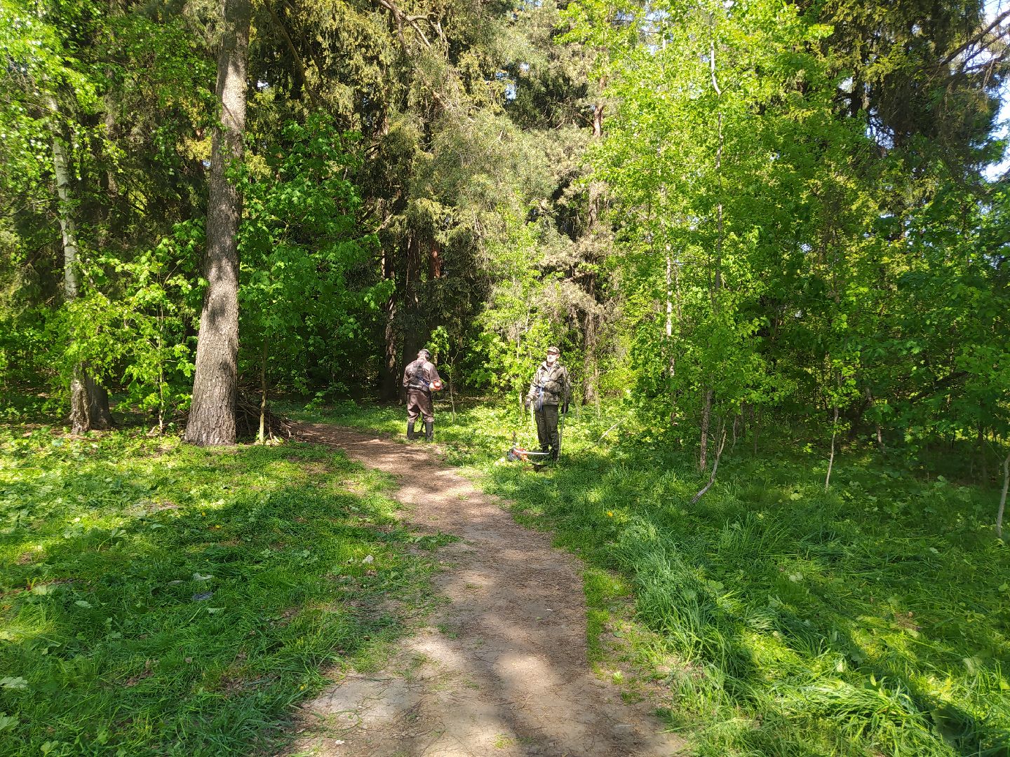 Покос травы, лесопарковая зона, газон, благоустройство