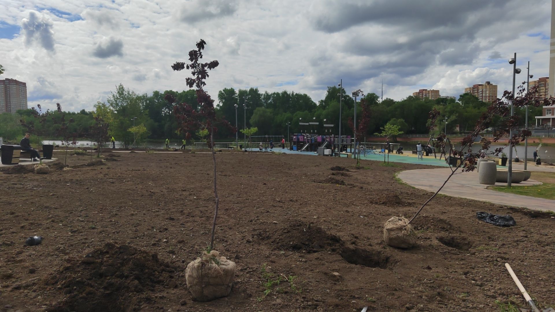 Пушкино, Пушкинский округ, Лес Победы, экология, чистый город