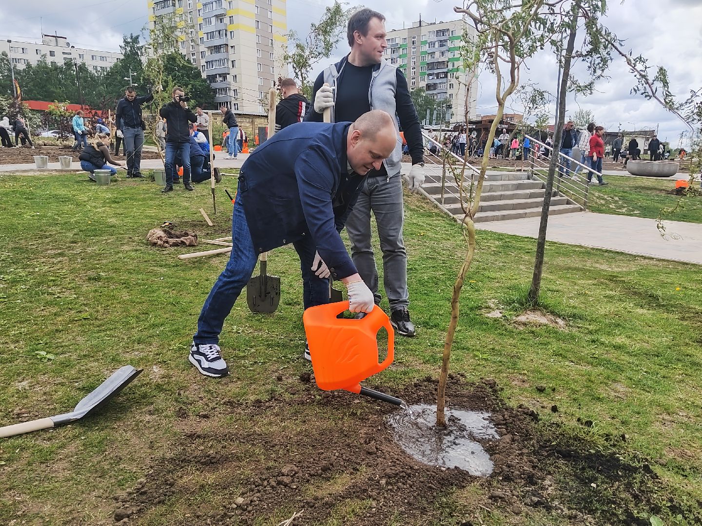 Пушкино, Пушкинский округ, Лес Победы, экология, чистый город