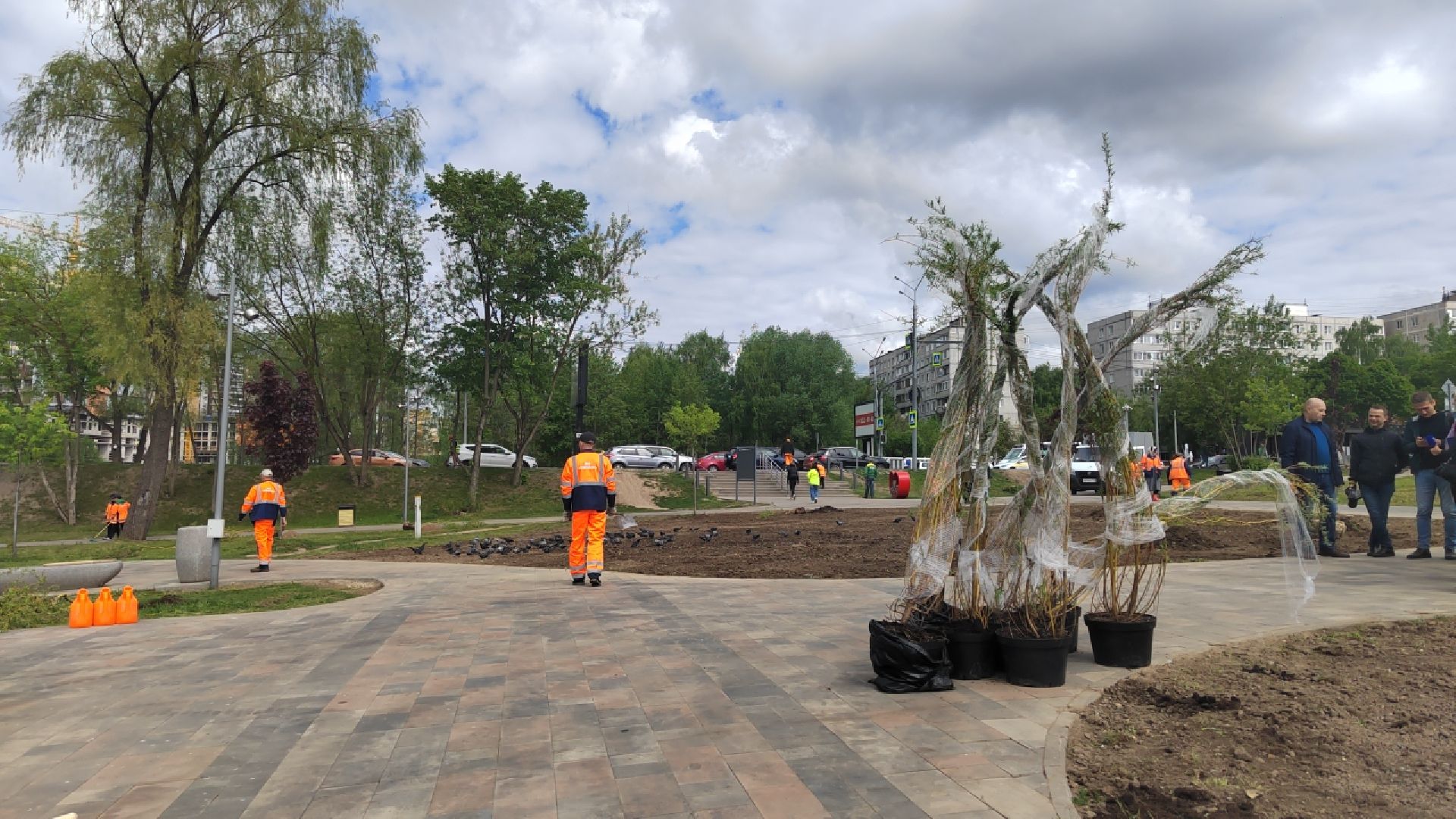 Пушкино, Пушкинский округ, Лес Победы, экология, чистый город