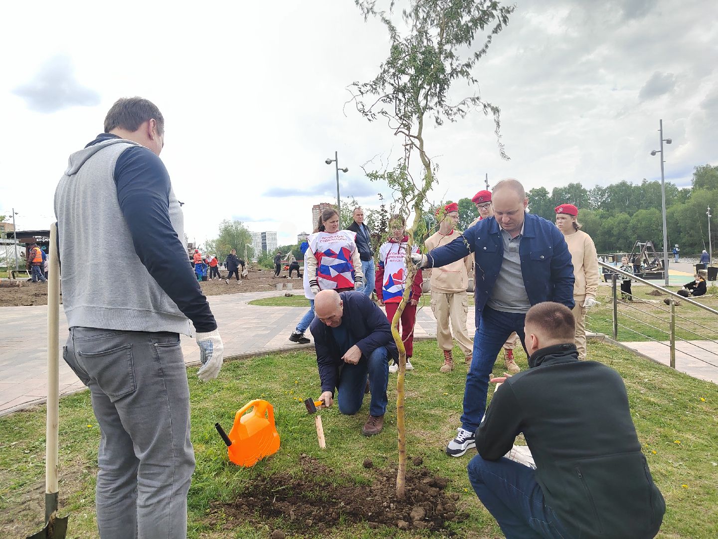 Пушкино, Пушкинский округ, Лес Победы, экология, чистый город