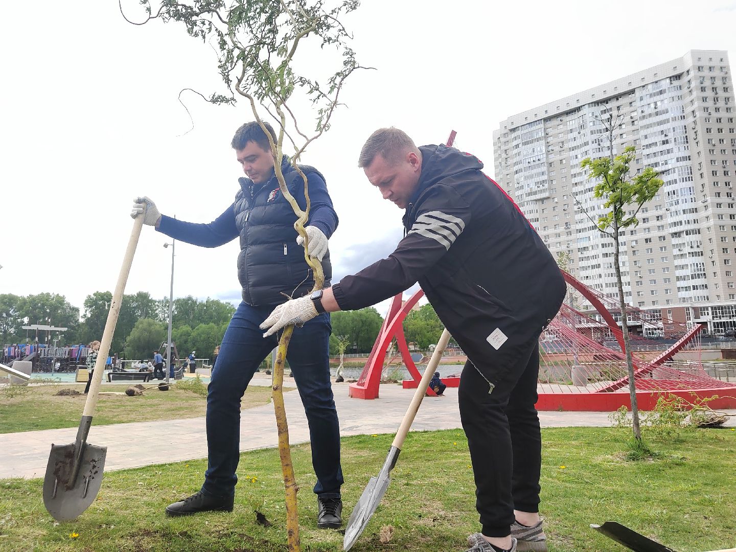 Пушкино, Пушкинский округ, Лес Победы, экология, чистый город