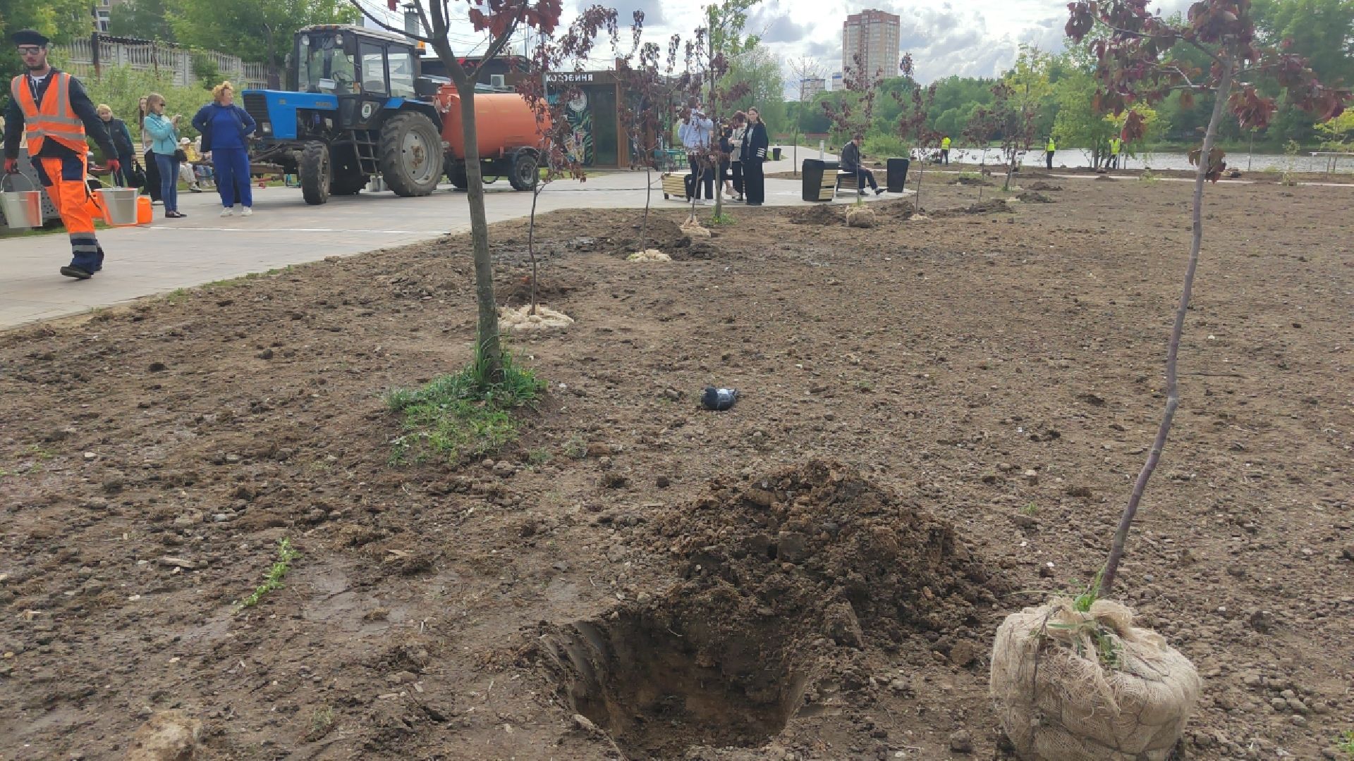 Пушкино, Пушкинский округ, Лес Победы, экология, чистый город