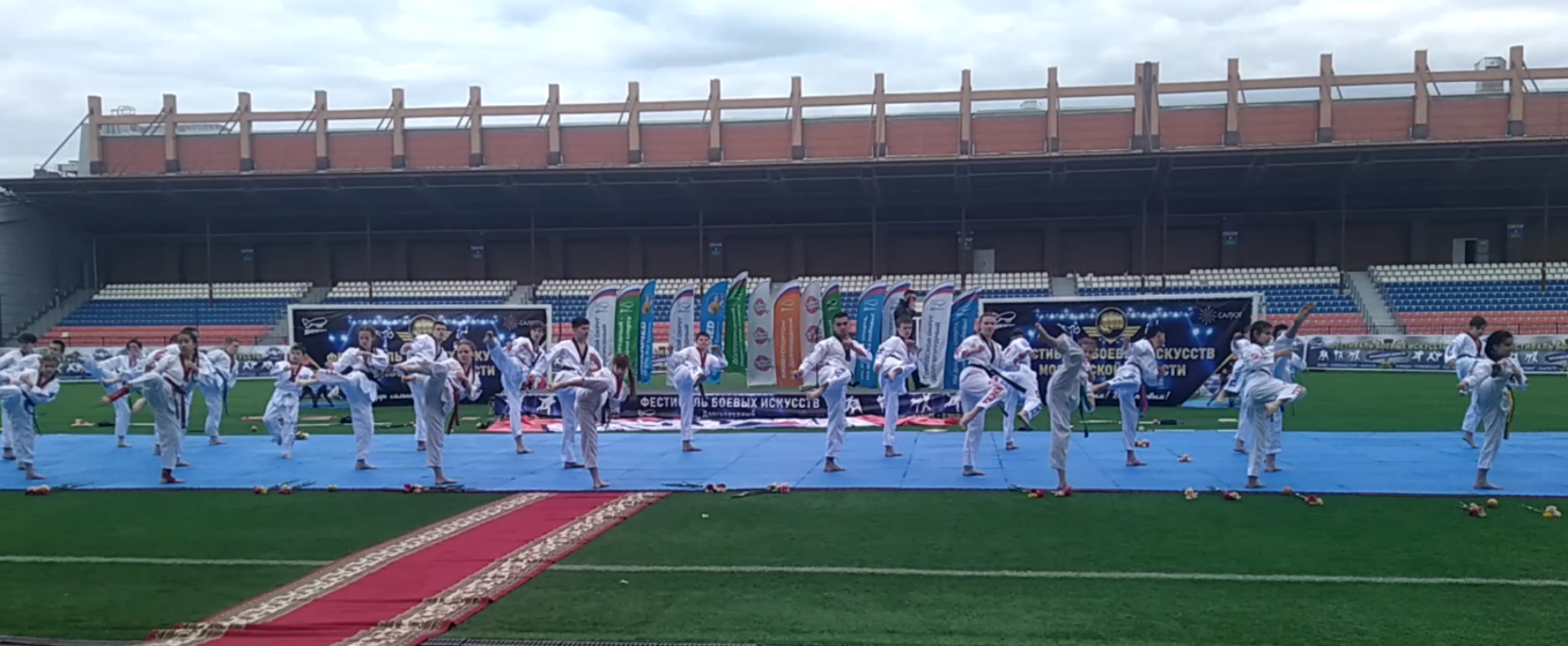 Долгопрудный, тхэквондо, спорт, праздник, фестиваль, Обнинск