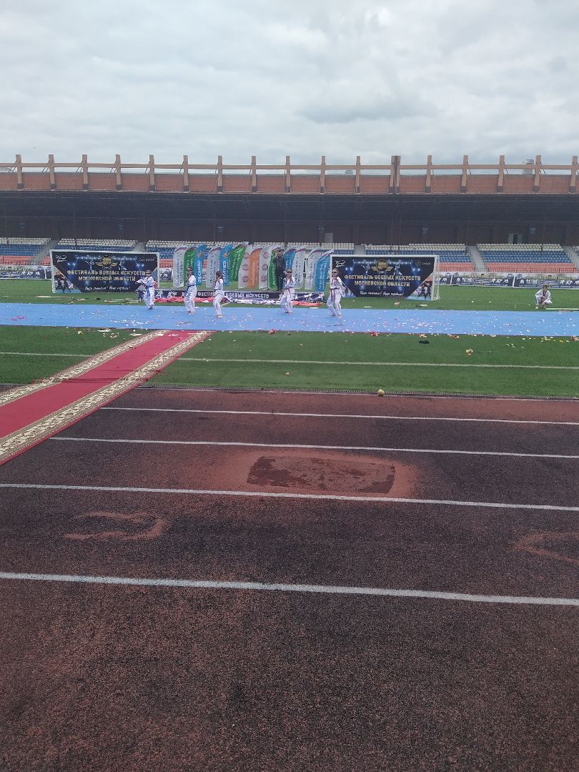 Долгопрудный, тхэквондо, спорт, праздник, фестиваль, Обнинск