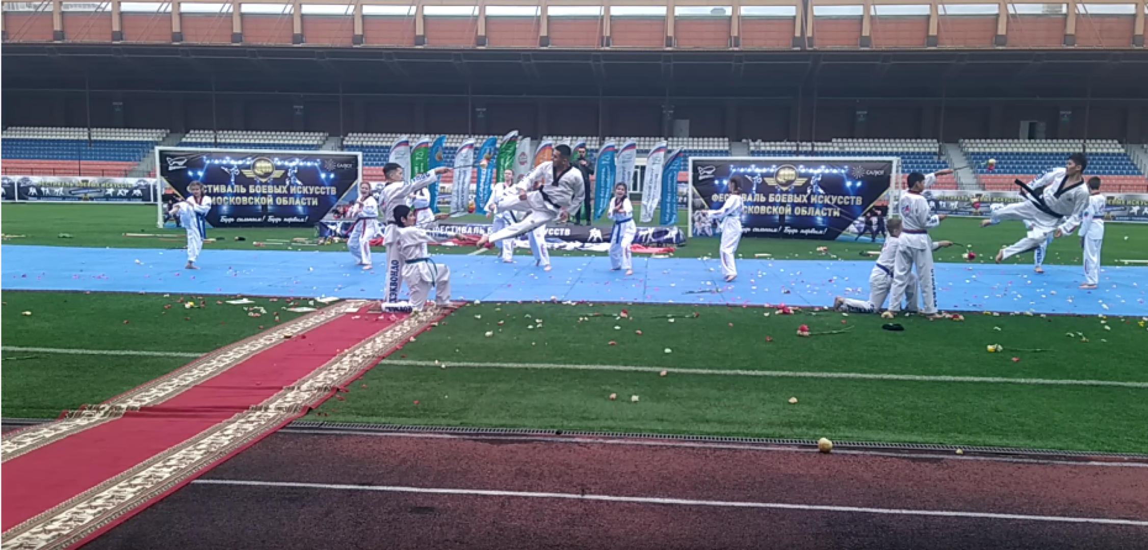 Долгопрудный, тхэквондо, спорт, праздник, фестиваль, Обнинск