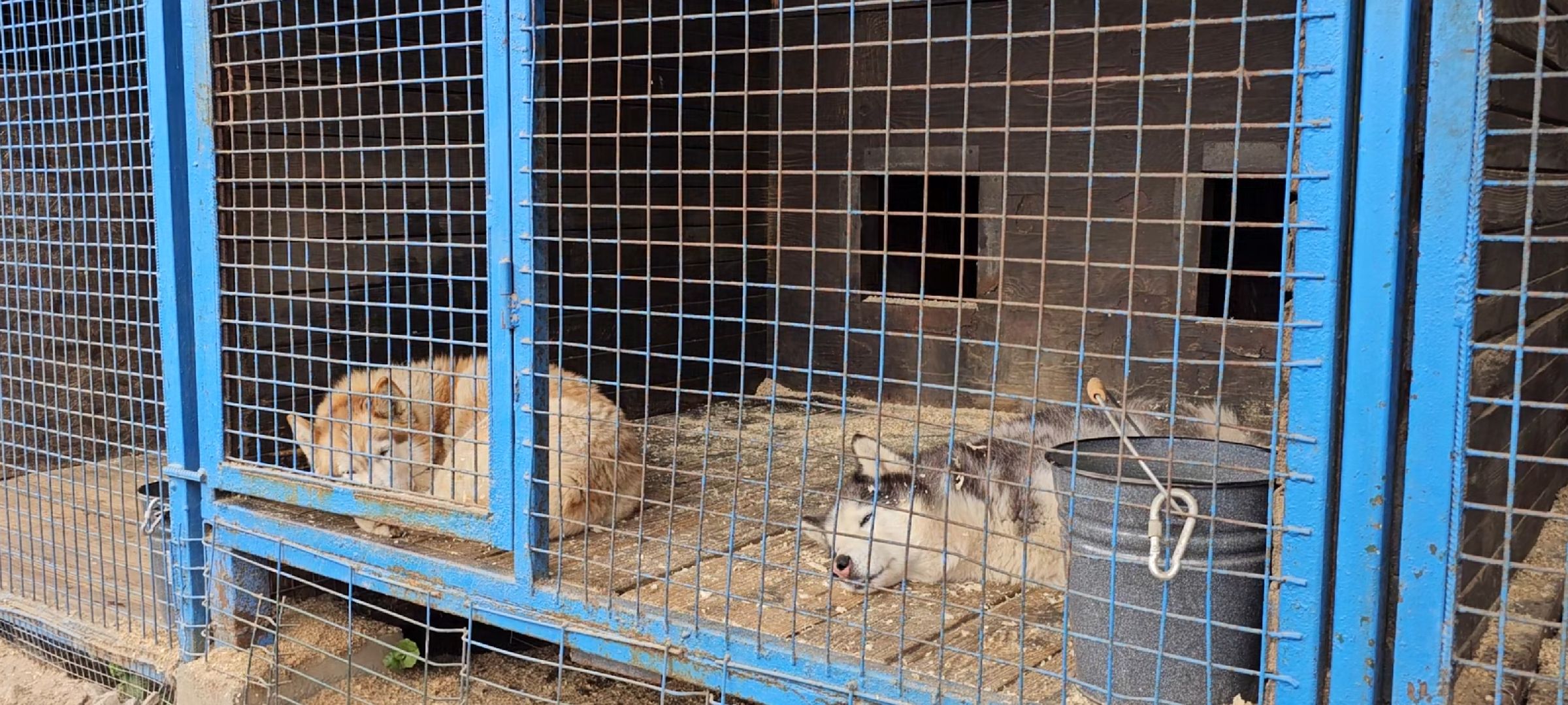 оленья ферма, Дзержинский, трудотерапия