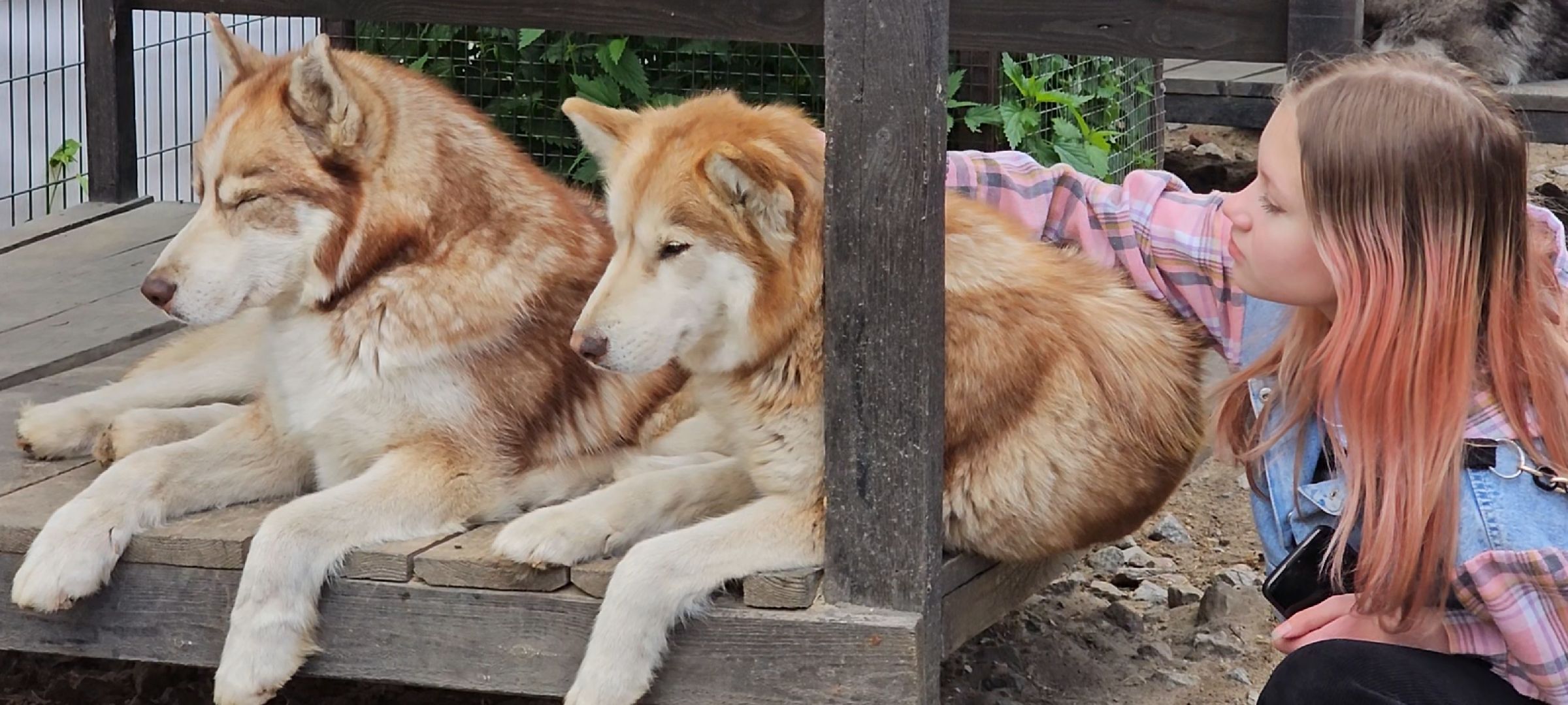 оленья ферма, Дзержинский, трудотерапия