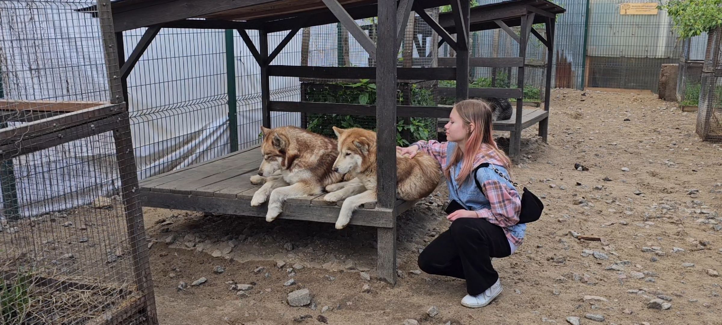 оленья ферма, Дзержинский, трудотерапия