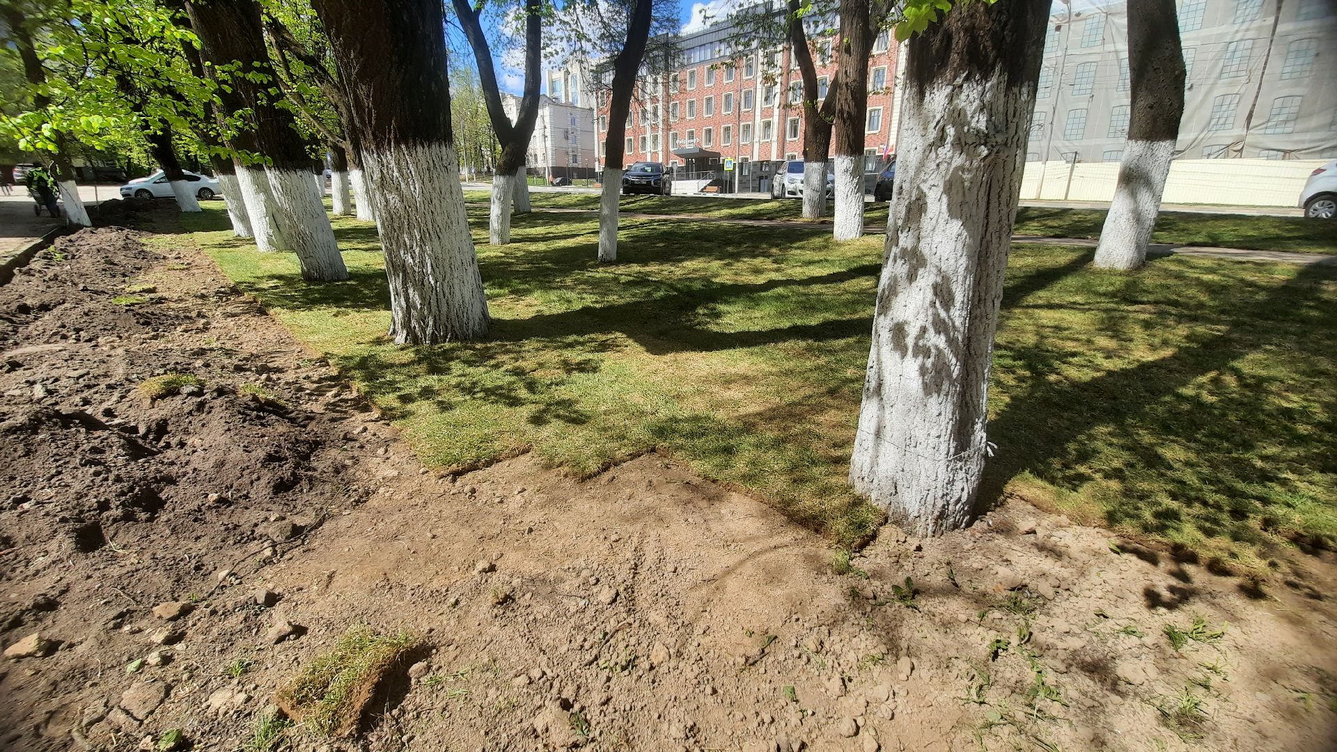 Перемены, Наро-Фоминск, рулонный газон, красота города, благоустройство в Подмосковье й