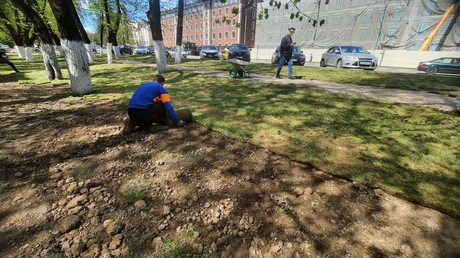 Перемены, Наро-Фоминск, рулонный газон, красота города, благоустройство в Подмосковье й