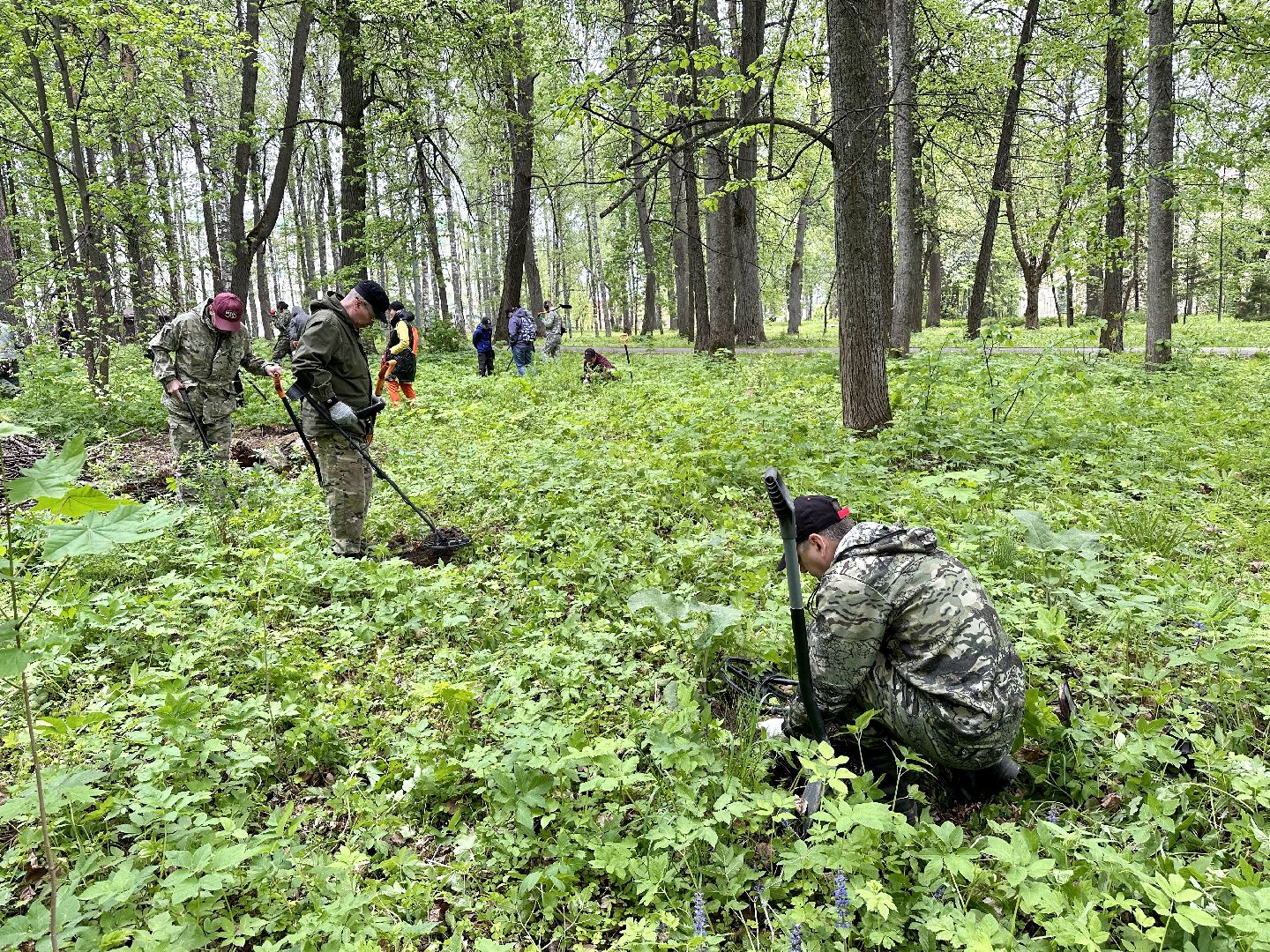 Клин, приборный поиск, люди, фестиваль
