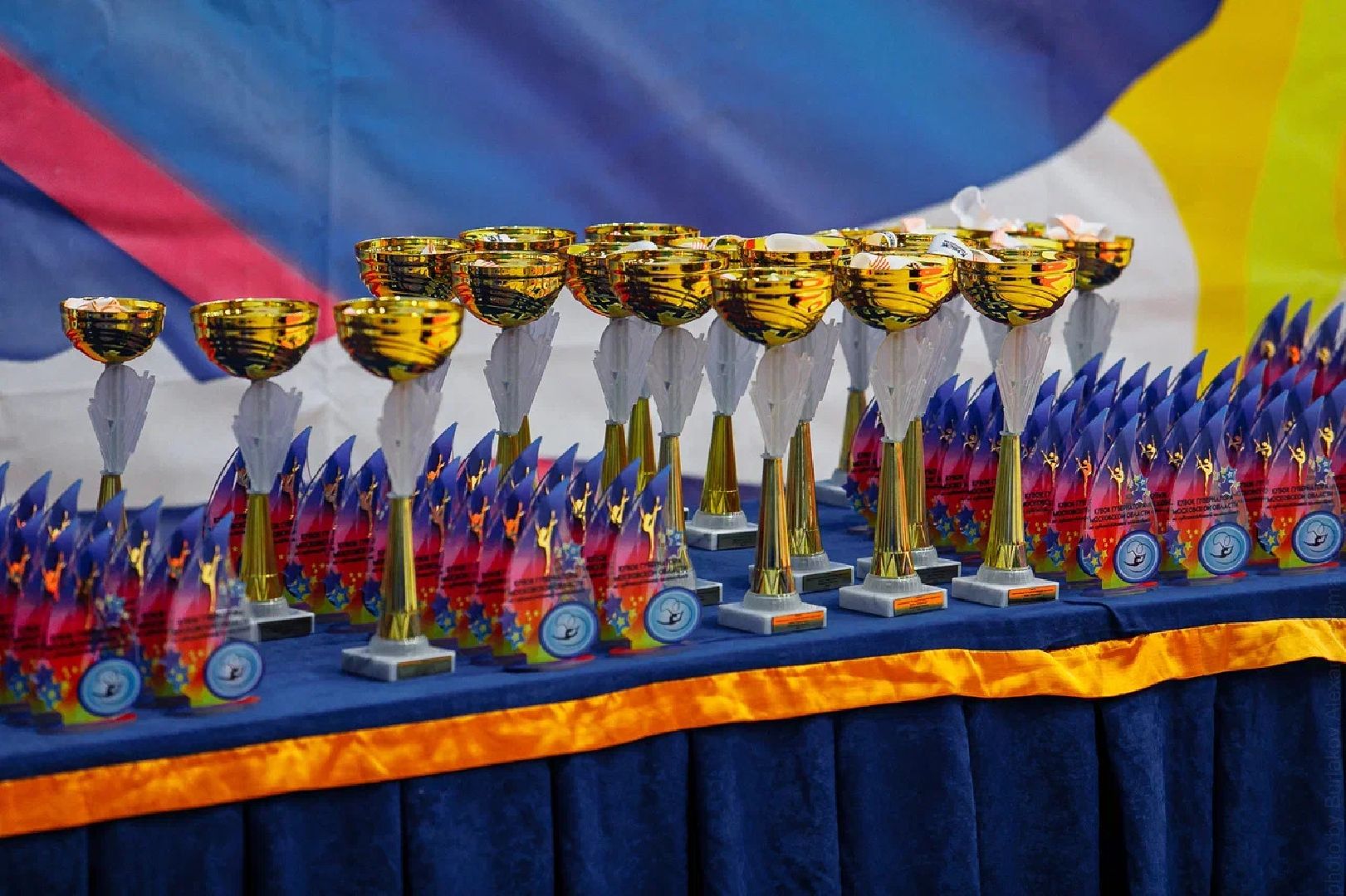 Художественная гимнастика, Орехово-Зуево, Кубок губернатора, соревнования, турнир, спорт