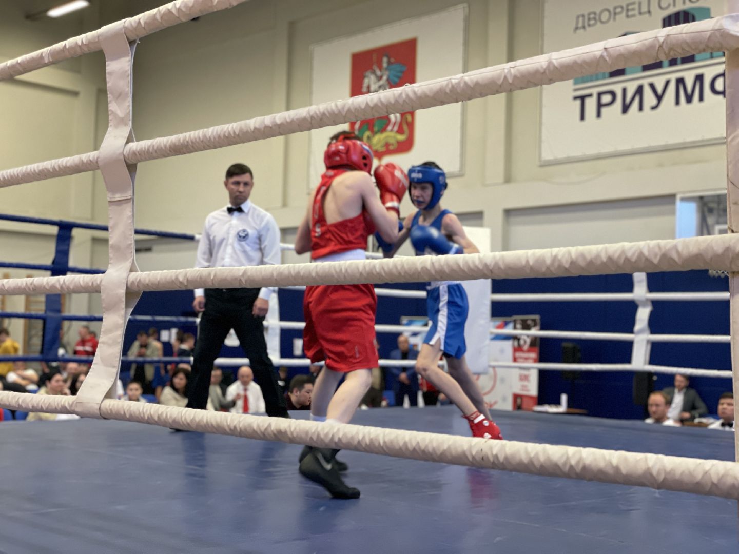 Спорт, бокс, Люберцы, дети