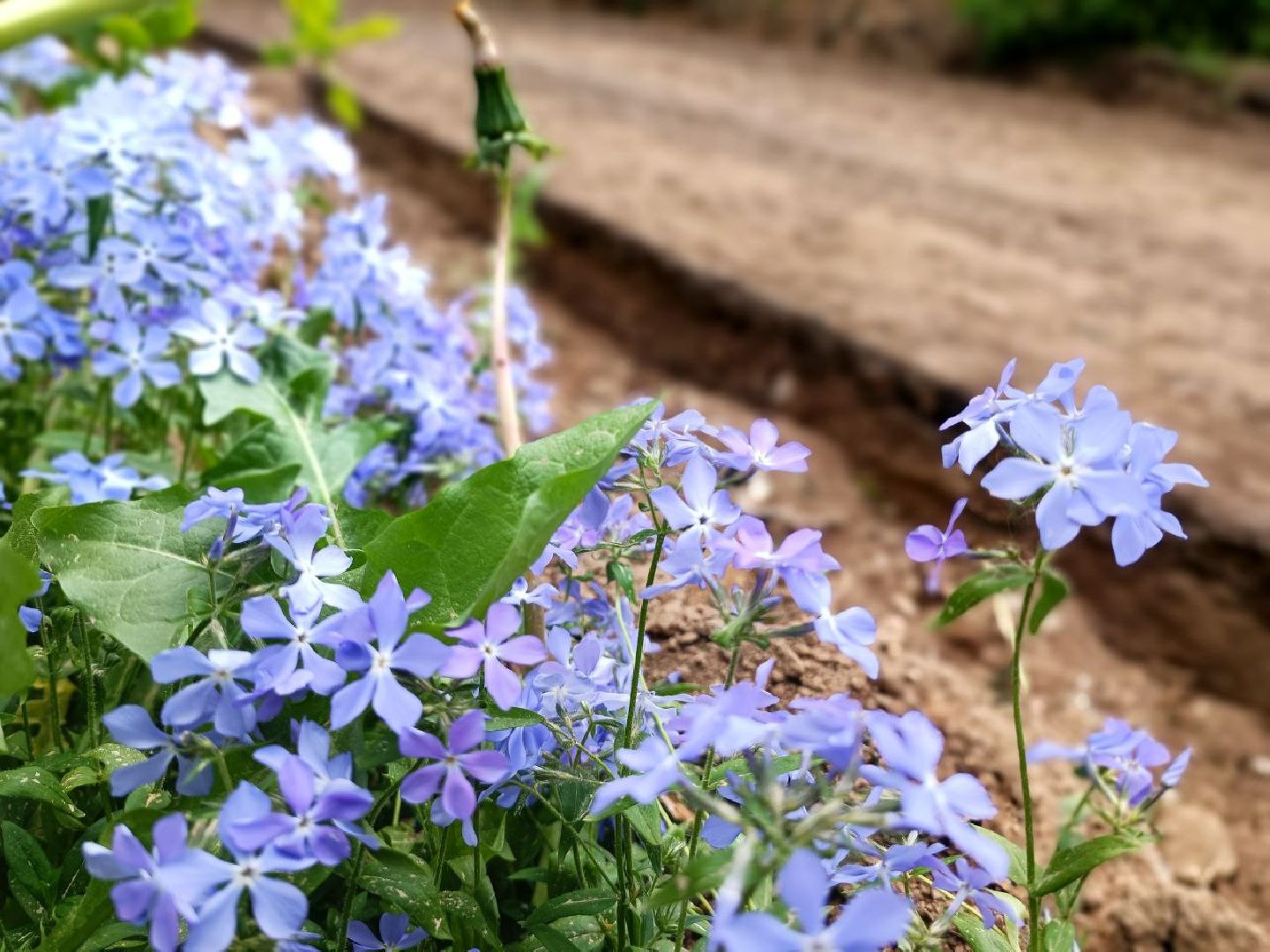 Можайск, Можайский городской округ, Подмосковье, благоустройство, дворовые территории, общественные пространства