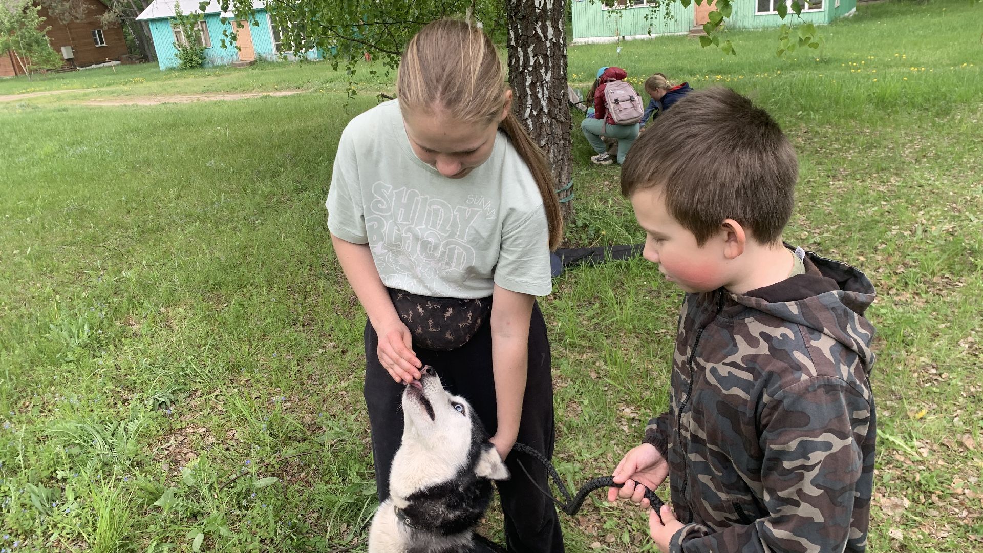 Ступино, допобразование, ДЭЦ Островок