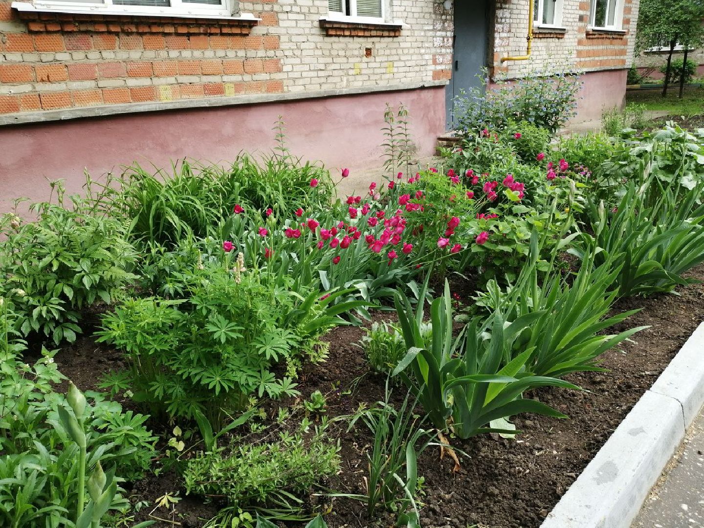 туризм, серпухов, дворы, благоустройство, туристические тропы, цветы, палисадники,