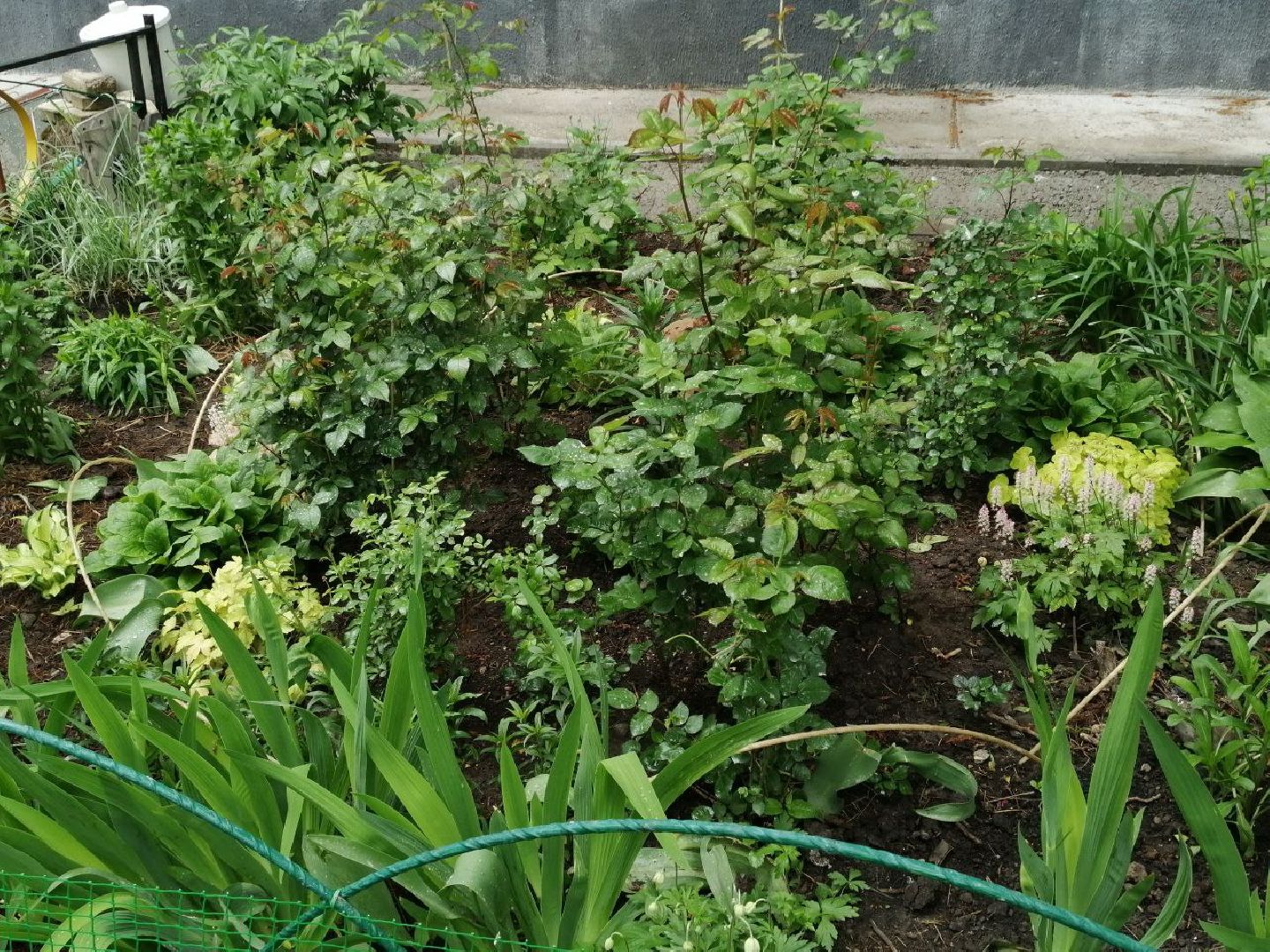 туризм, серпухов, дворы, благоустройство, туристические тропы, цветы, палисадники,