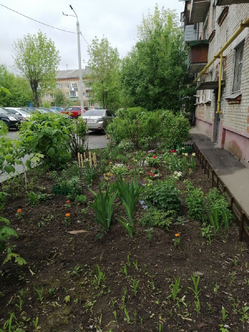 туризм, серпухов, дворы, благоустройство, туристические тропы, цветы, палисадники,