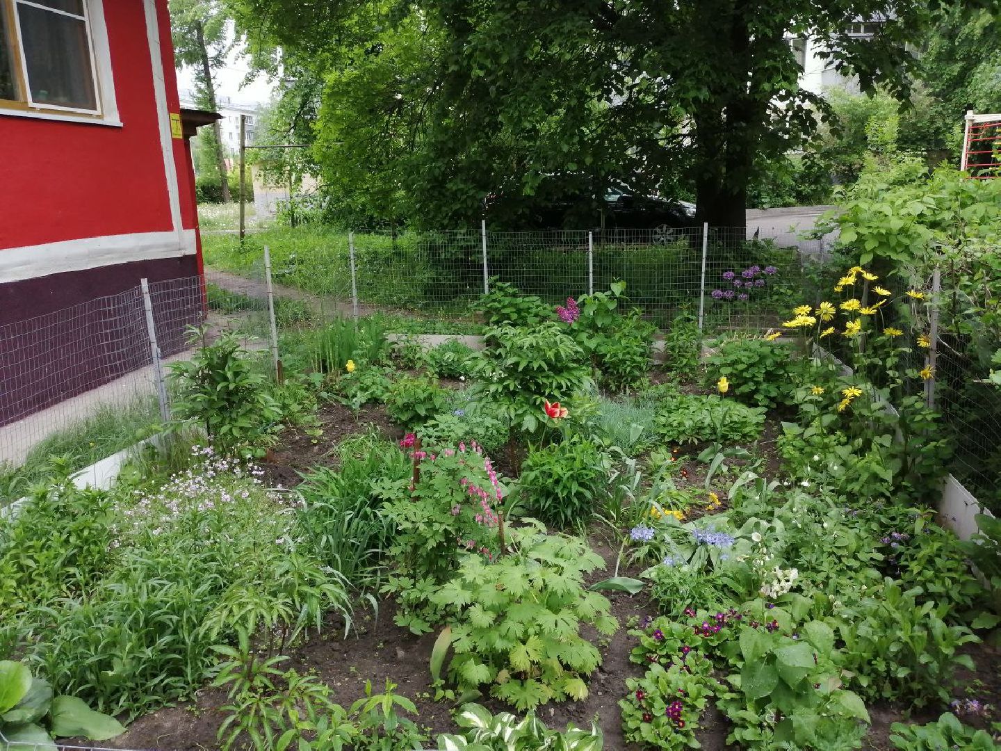 туризм, серпухов, дворы, благоустройство, туристические тропы, цветы, палисадники,