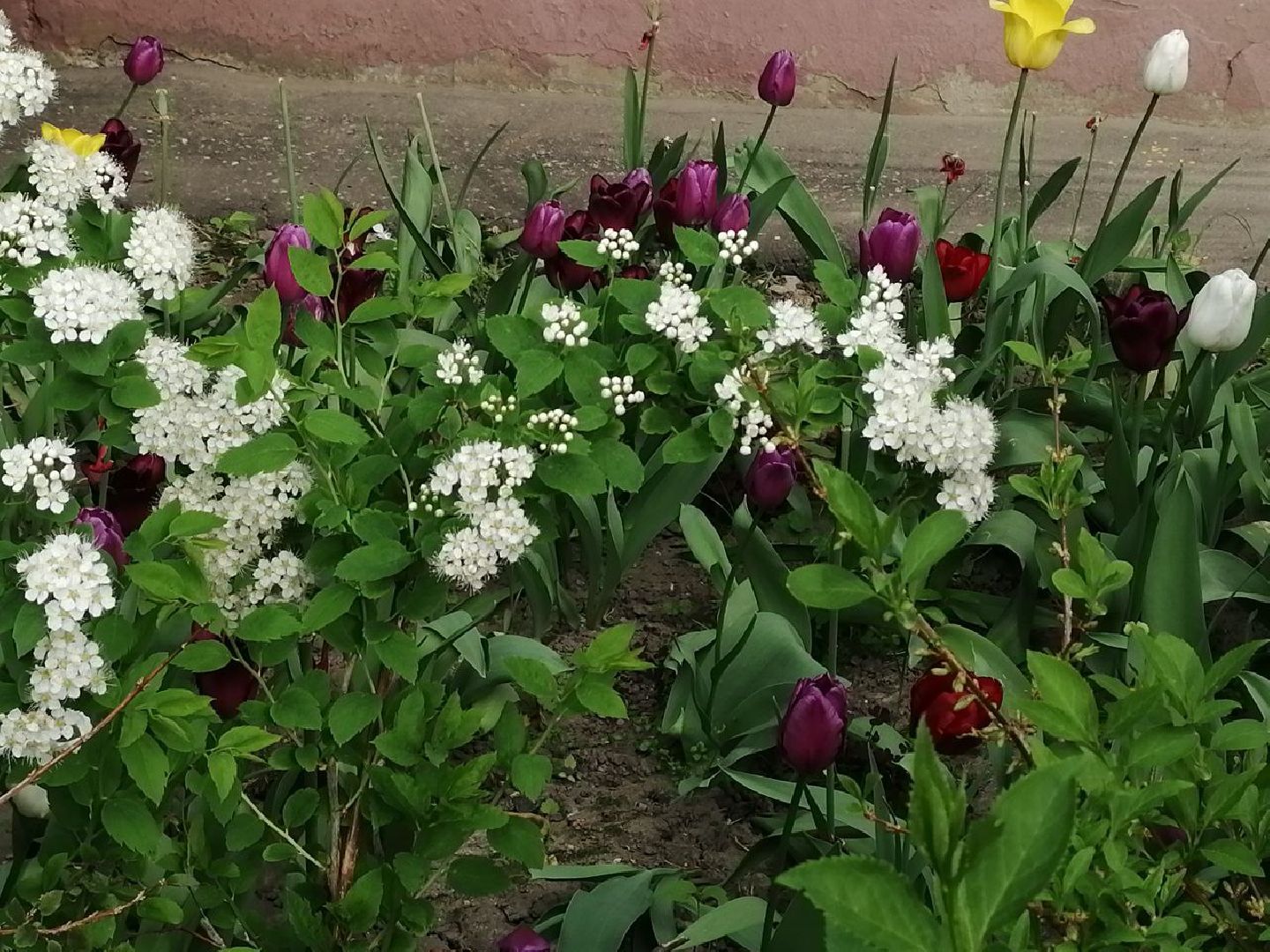 туризм, серпухов, дворы, благоустройство, туристические тропы, цветы, палисадники,