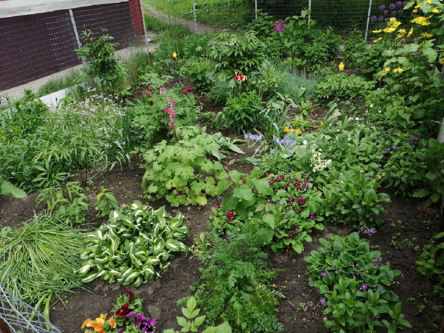 туризм, серпухов, дворы, благоустройство, туристические тропы, цветы, палисадники,