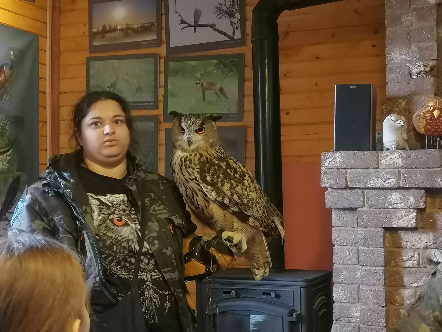 #музейболот, #талдомскийокруг, #совиныйфестиваль, #совы, #лекции