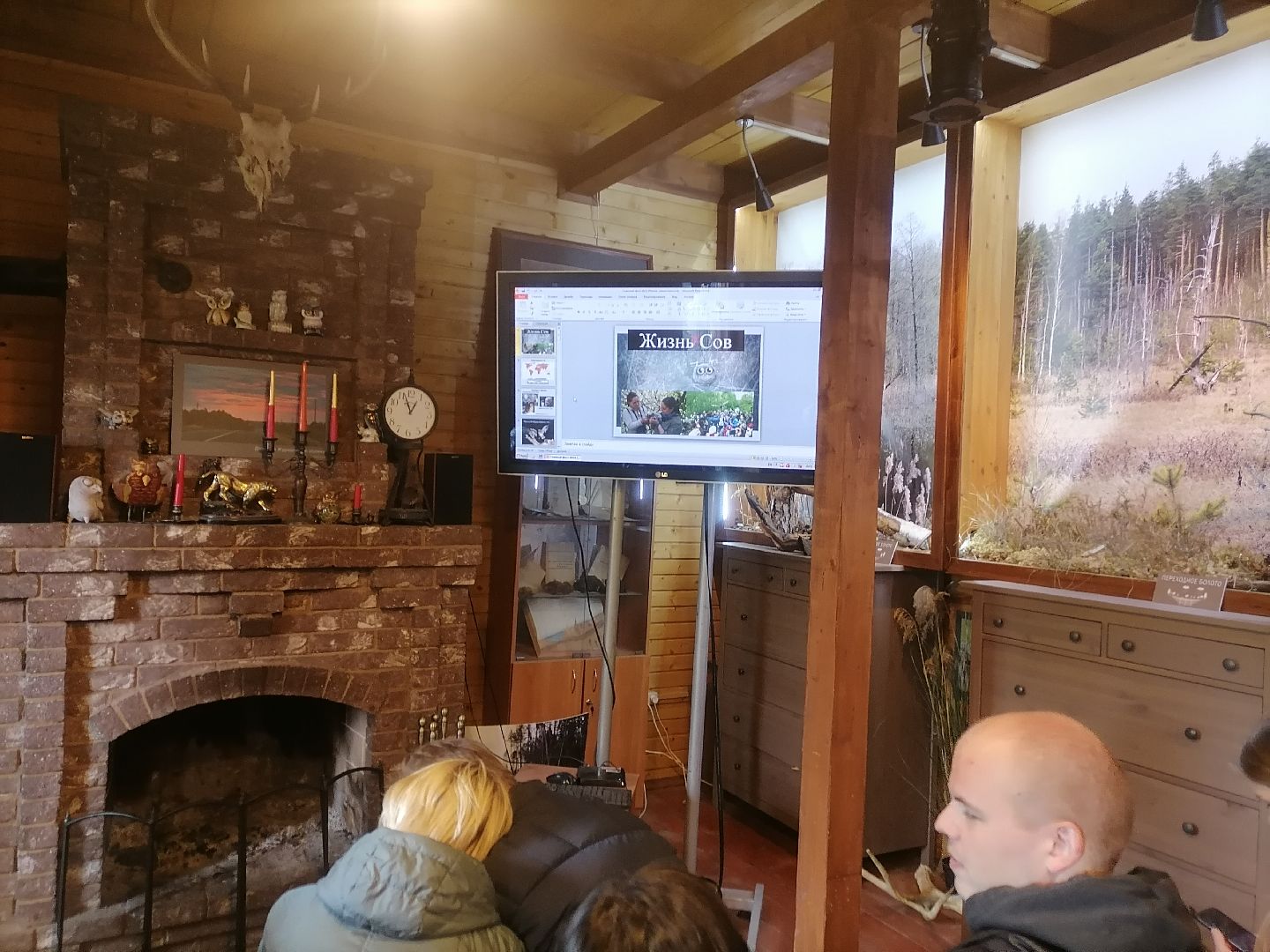 #музейболот, #талдомскийокруг, #совиныйфестиваль, #совы, #лекции