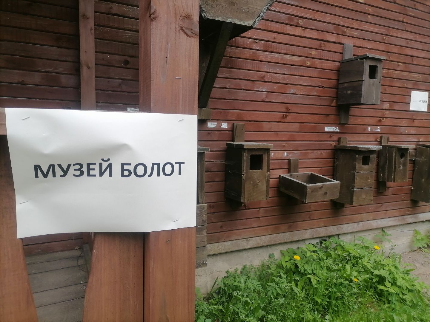 #музейболот, #талдомскийокруг, #совиныйфестиваль, #совы, #лекции