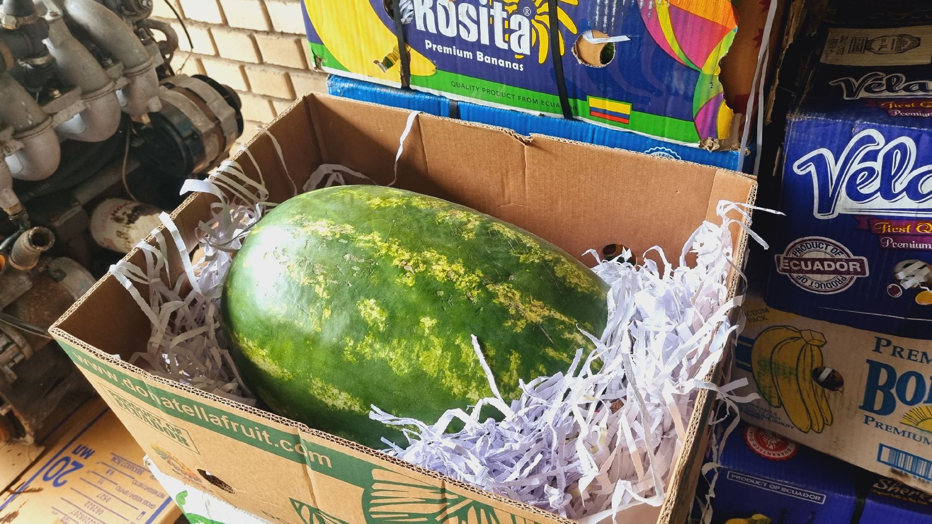 Подмосковье, Городской округ Пушкинский, СВО, власть, волонтёры