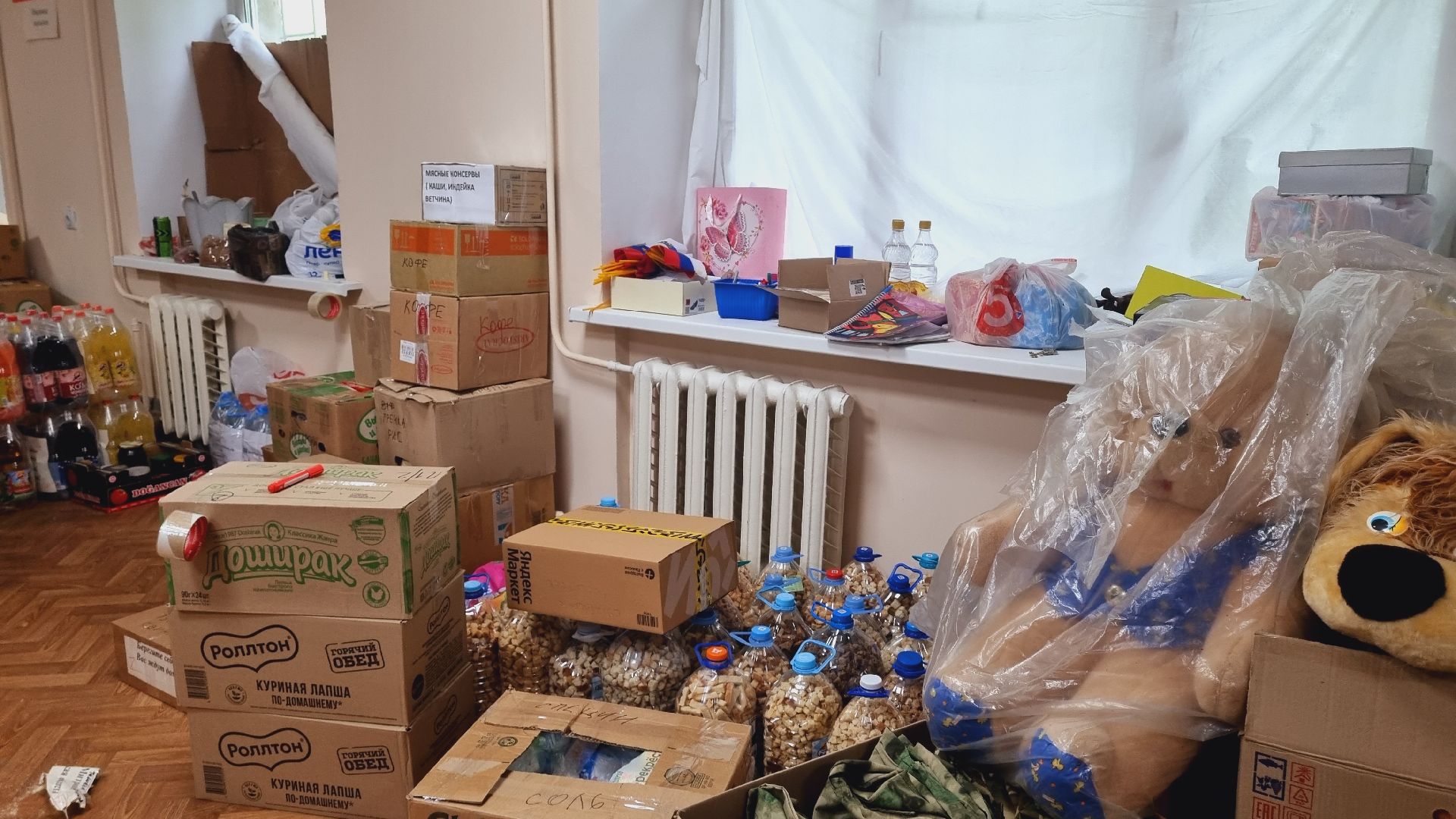 Подмосковье, Городской округ Пушкинский, СВО, власть, волонтёры