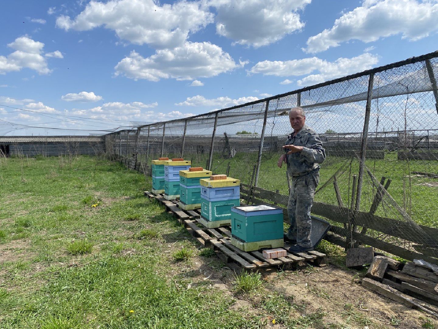 Чехов, ферма пчелы, ульи, мед, опыление
