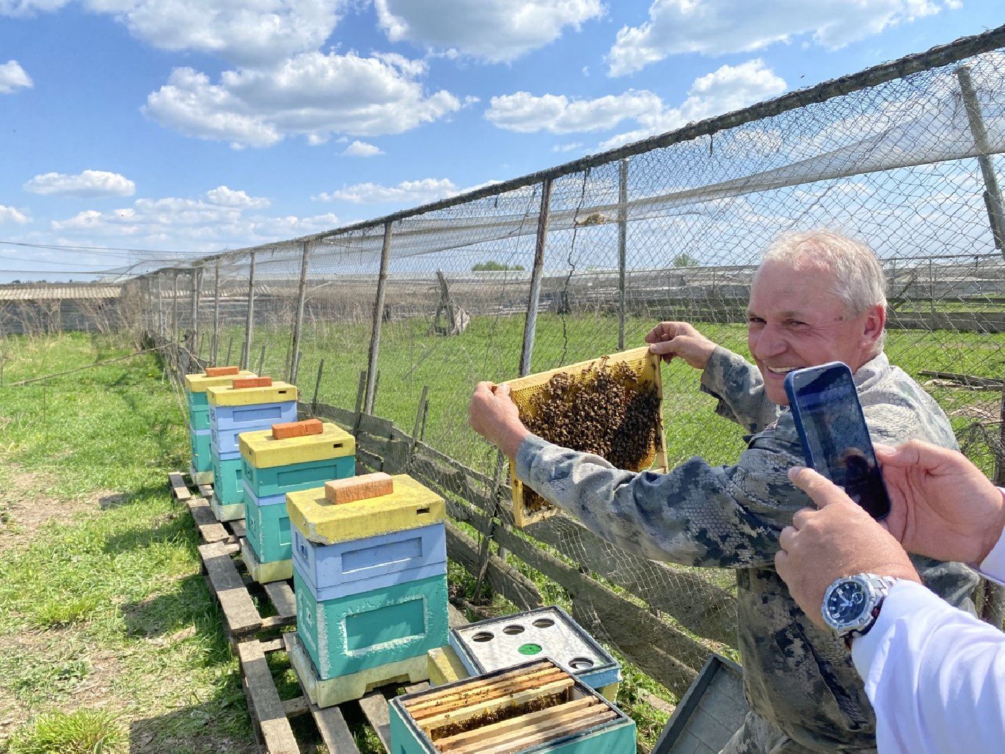 Чехов, ферма пчелы, ульи, мед, опыление