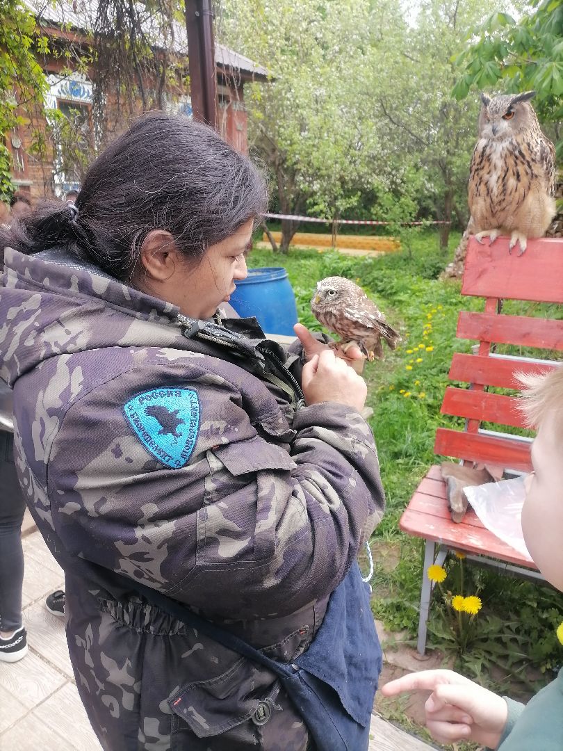 #талдомскийокруг, #совы, #центрреабилитации, #Переславль-Залесский, #птицы