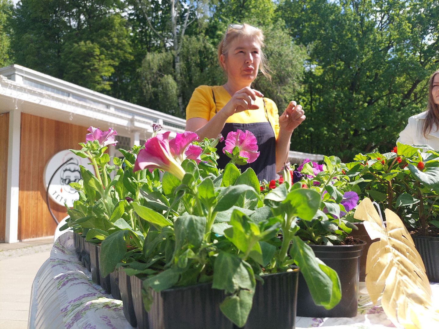 благоустройство, парки, парковый ответ, общество