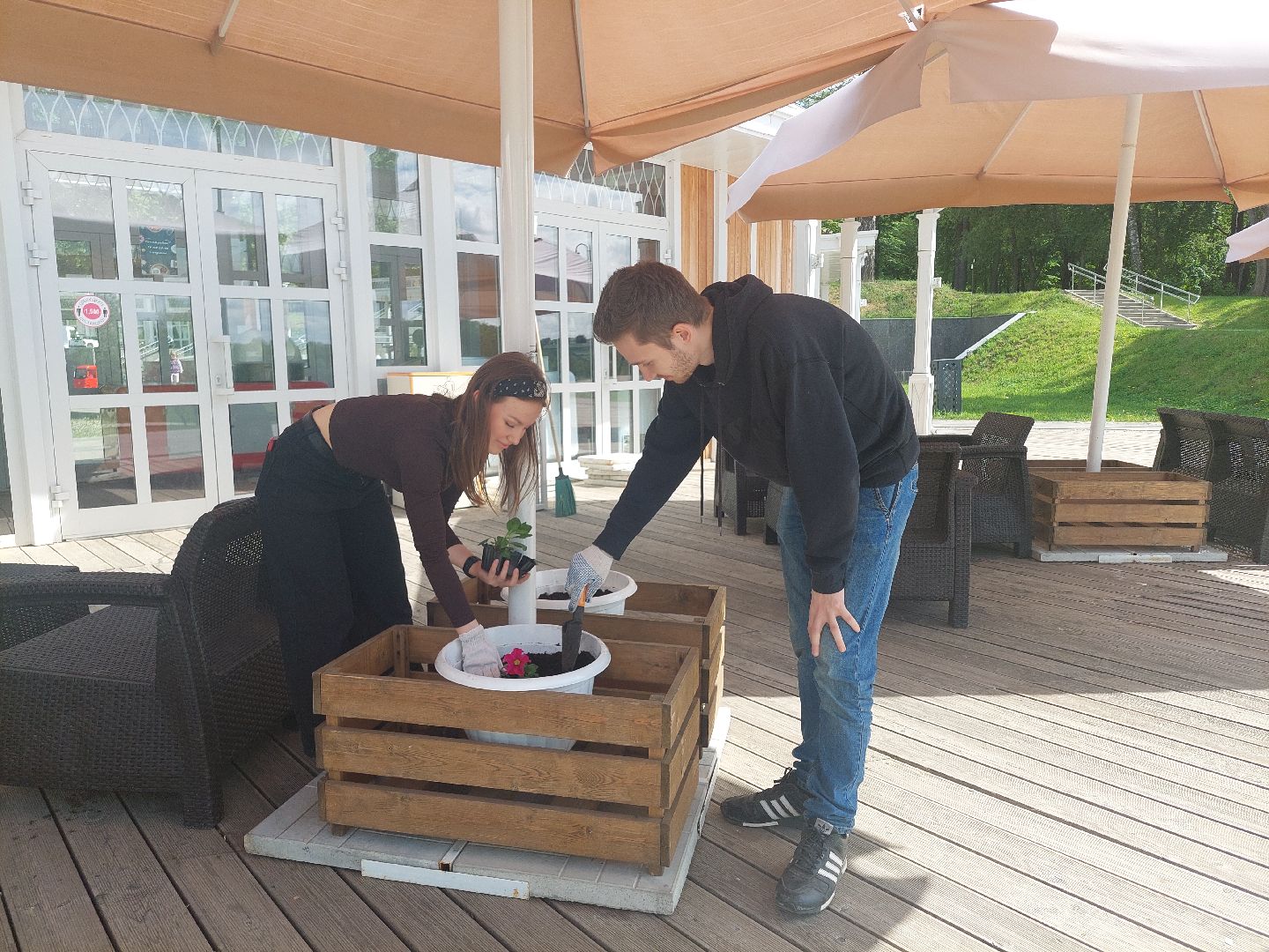 благоустройство, парки, парковый ответ, общество