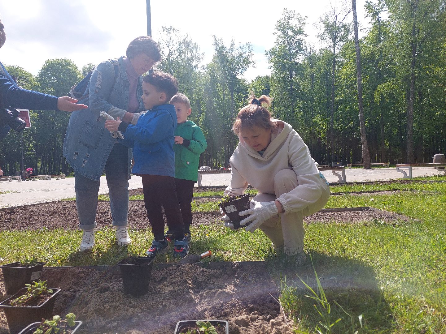 благоустройство, парки, парковый ответ, общество