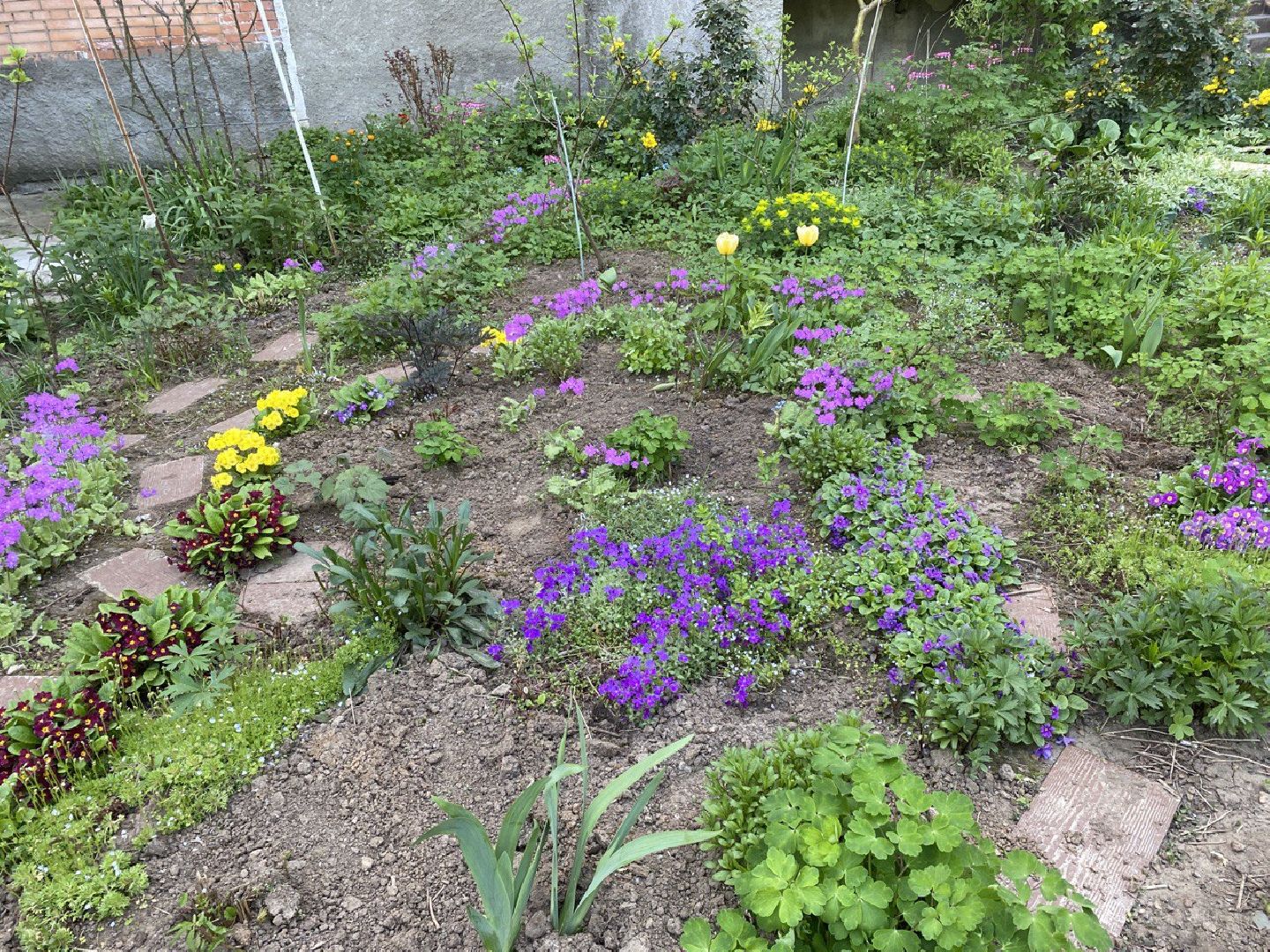 Чехов, благоустройство, житель, сад, МКД