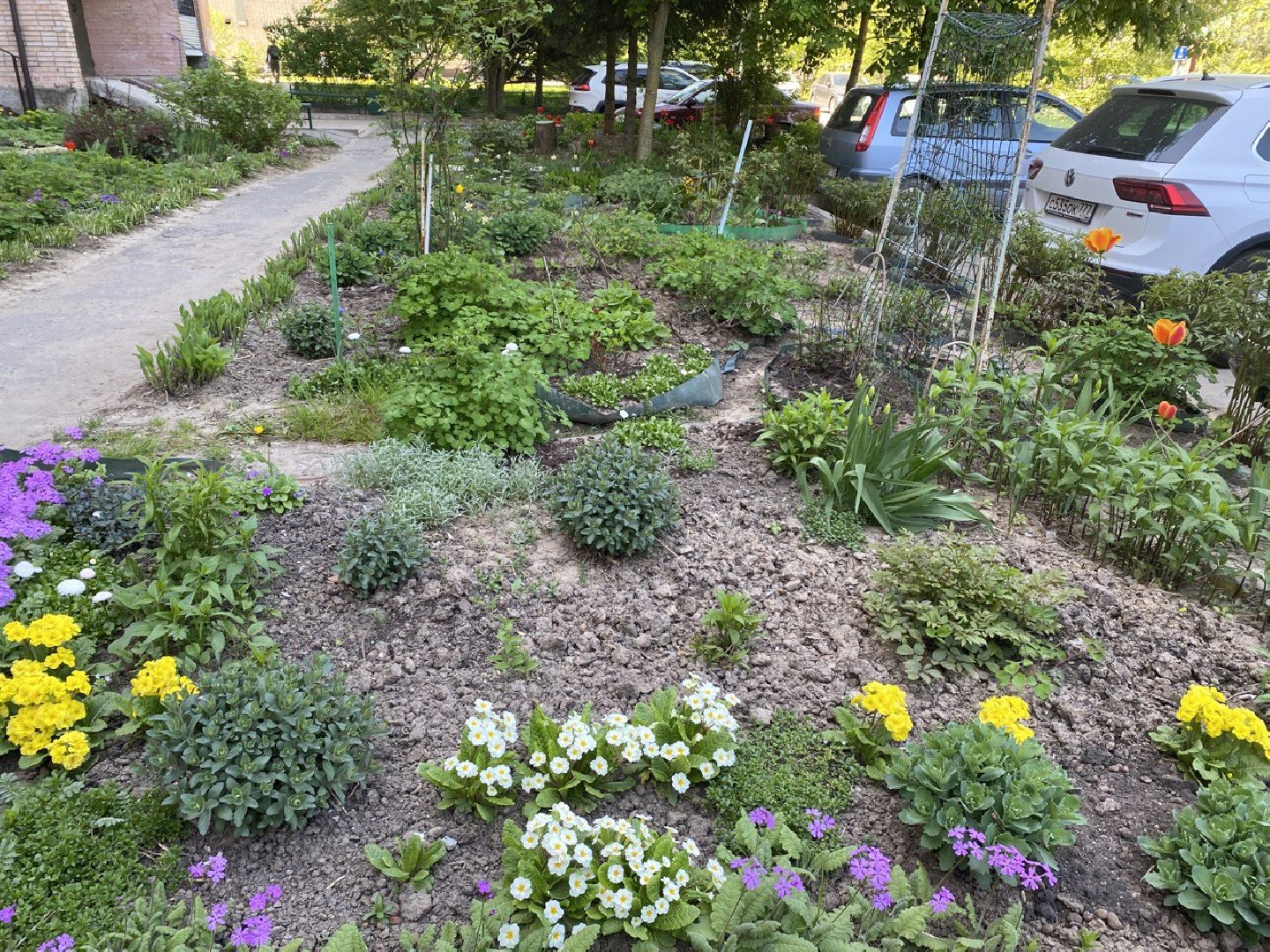 Чехов, благоустройство, житель, сад, МКД