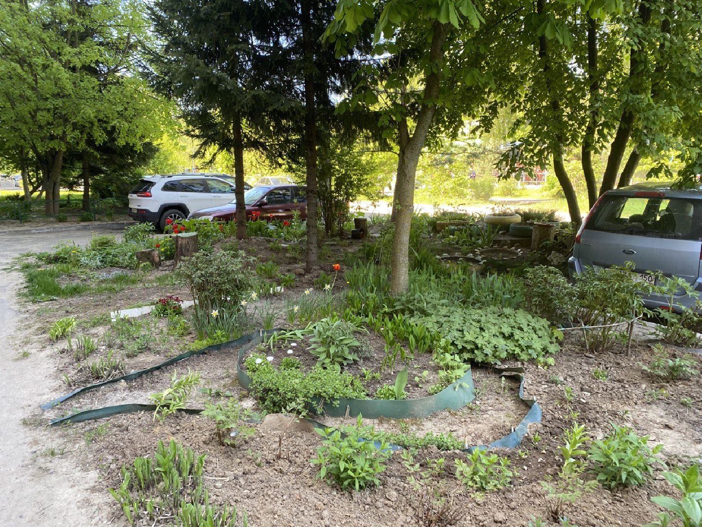 Чехов, благоустройство, житель, сад, МКД