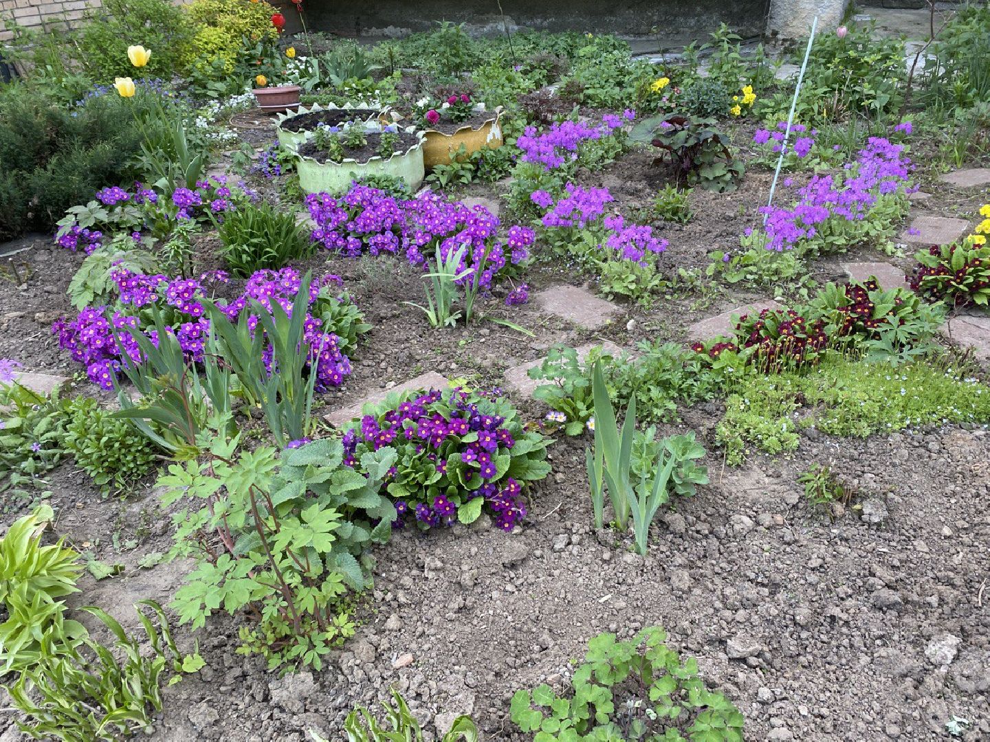 Чехов, благоустройство, житель, сад, МКД