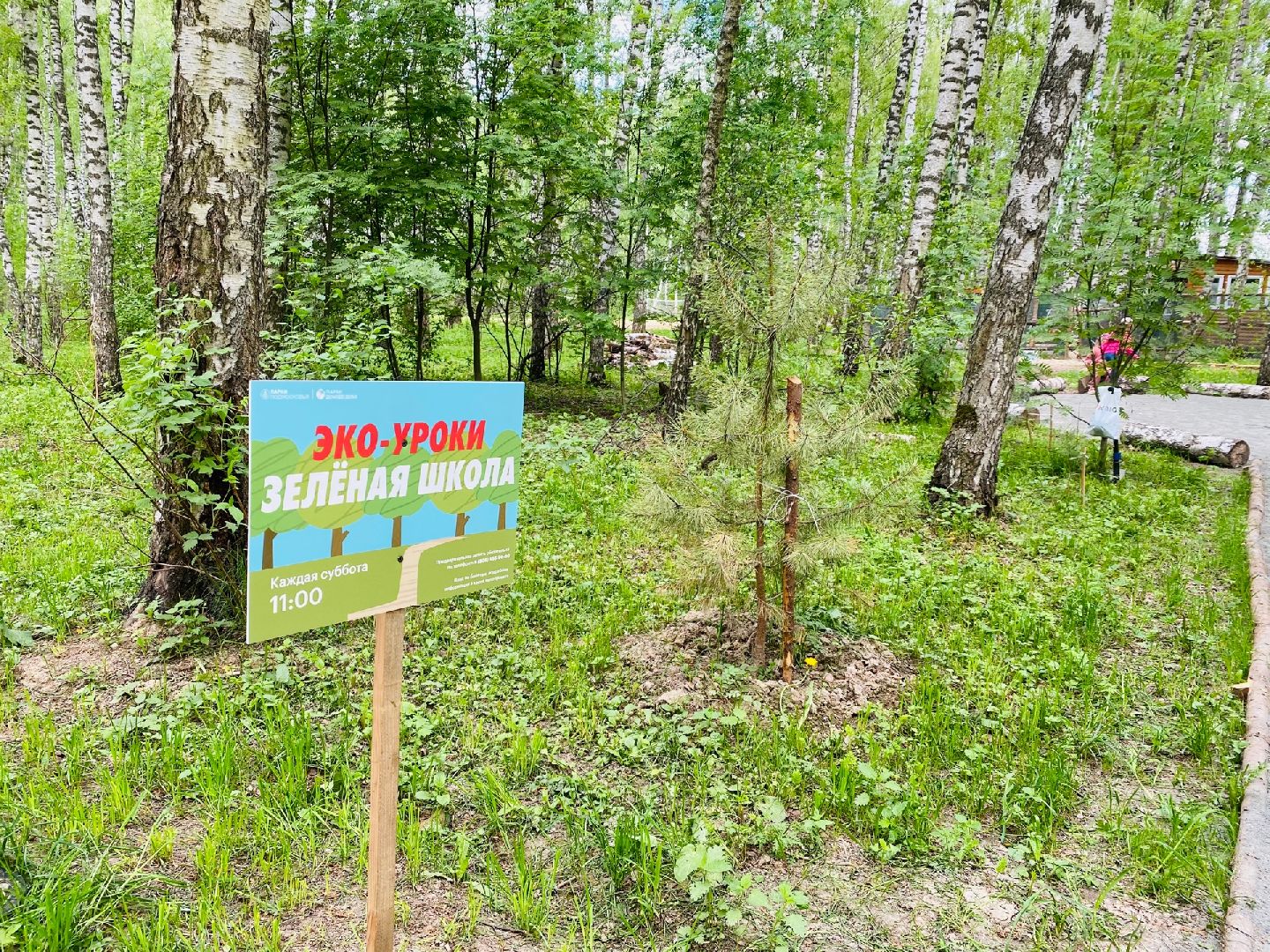 Домодедово, экология, зеленая школа, дети