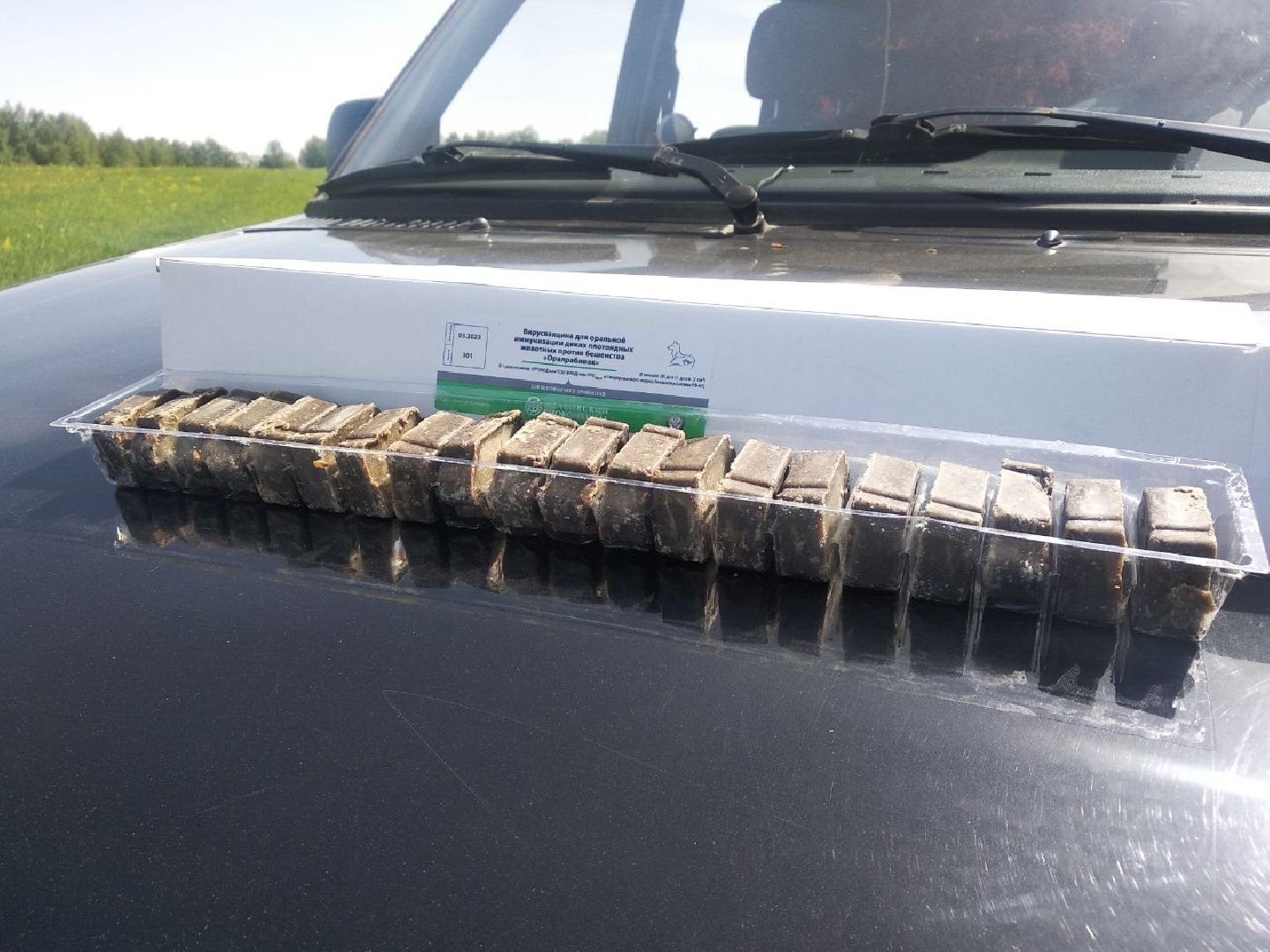 Дмитров, Государственная ветеринарная станция, Минэкологии МО