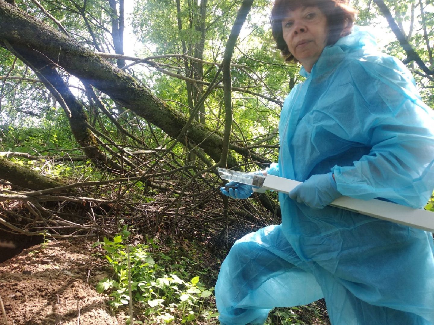 Дмитров, Государственная ветеринарная станция, Минэкологии МО