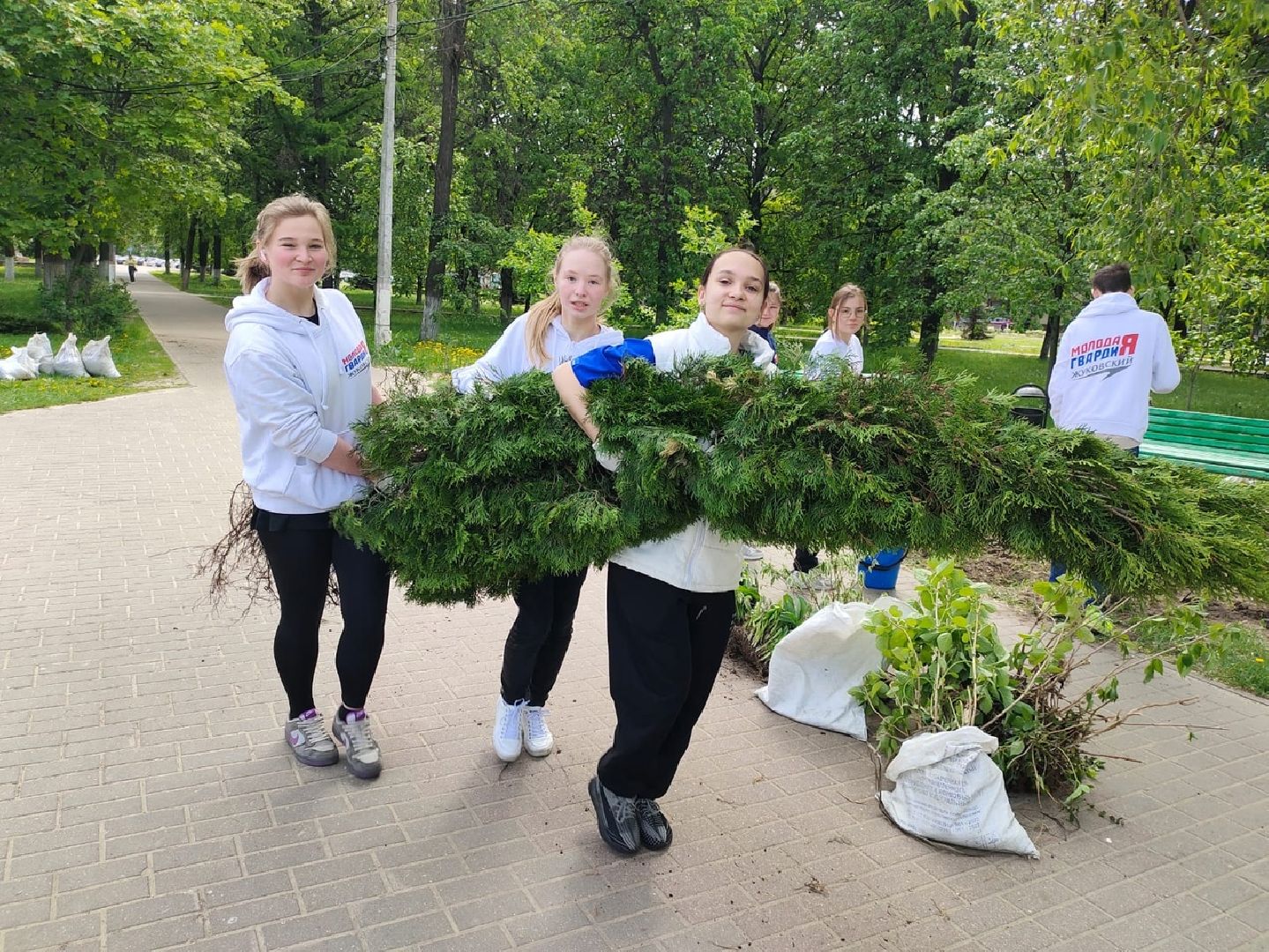 Город-сад, растения, пересадка, реконструкция, парк, Жуковский