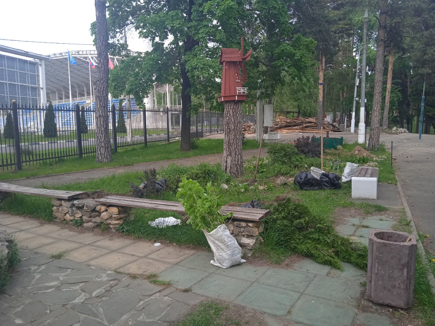 Город-сад, растения, пересадка, реконструкция, парк, Жуковский