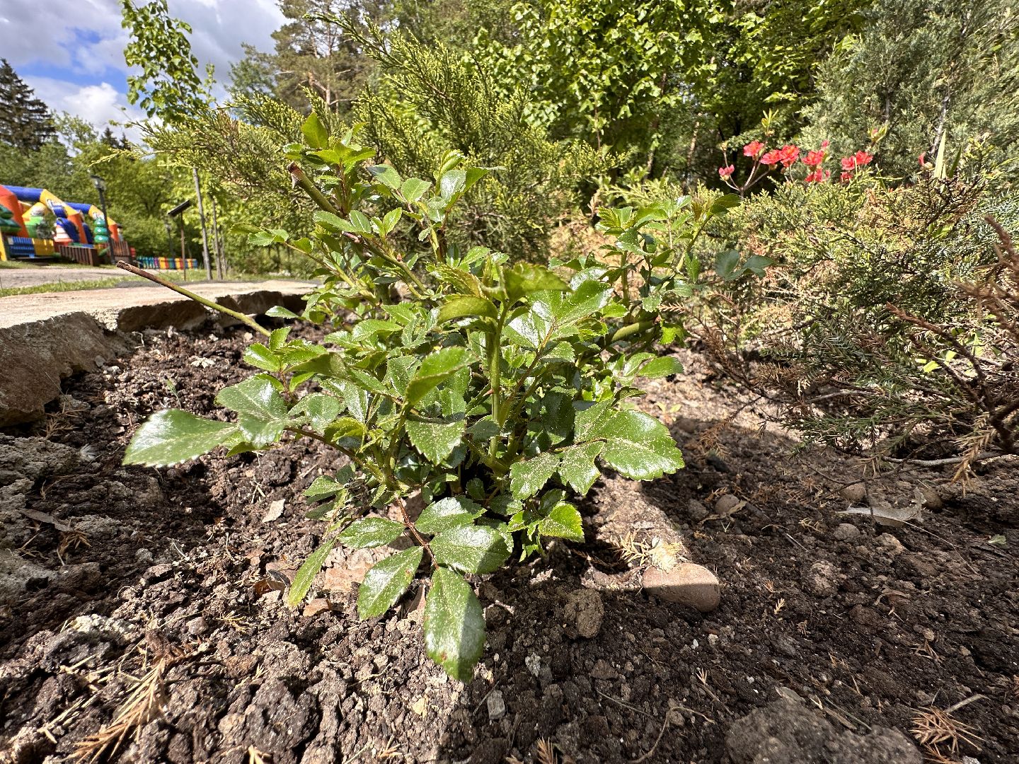 Одинцово, Парки Подмосковья, Советы Дачникам