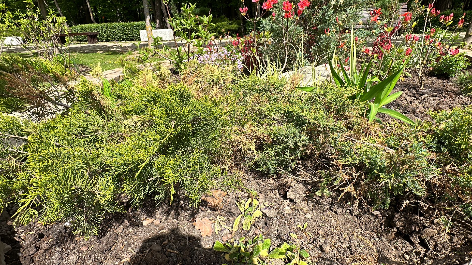 Одинцово, Парки Подмосковья, Советы Дачникам