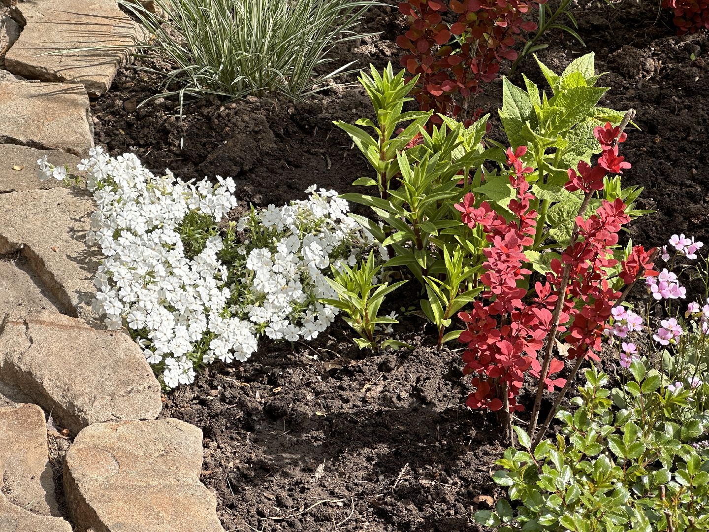 Одинцово, Парки Подмосковья, Советы Дачникам